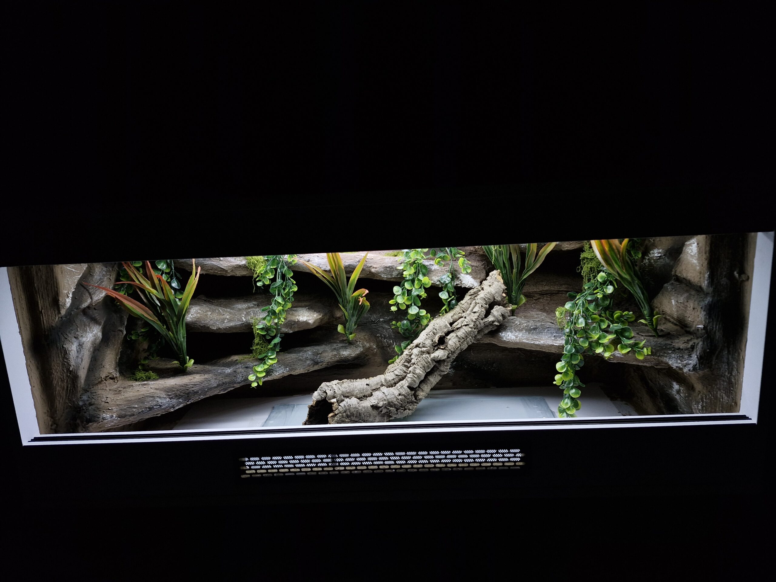 Terrarium 120x50x50 Płyta Meblowa Oprawy e27 Wąż/Gekon/Agama - Image 7