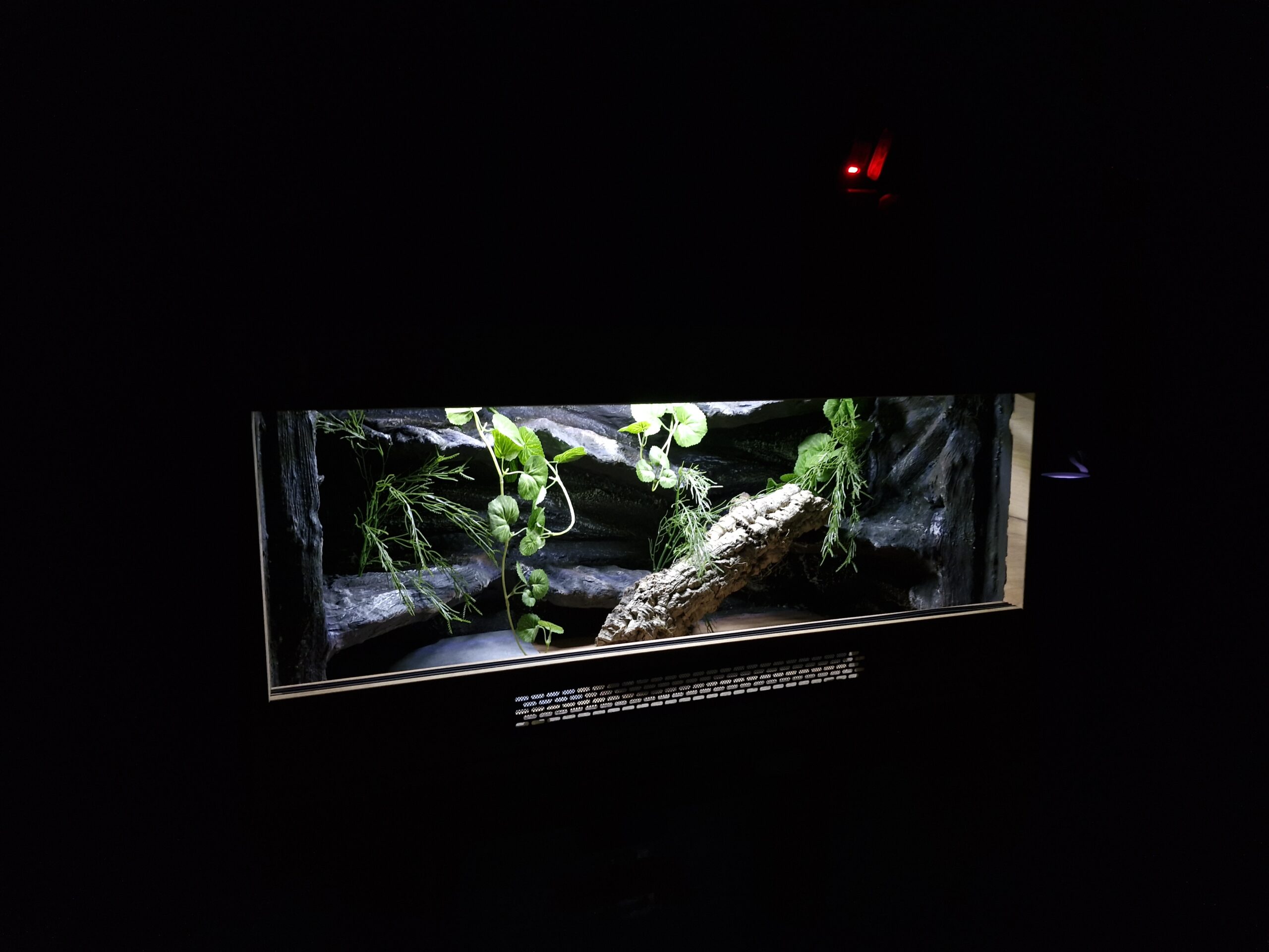 Terrarium 100x50x50 Agama/Wąż Mata Grzewcza LED Płyta Meblowa - Image 4
