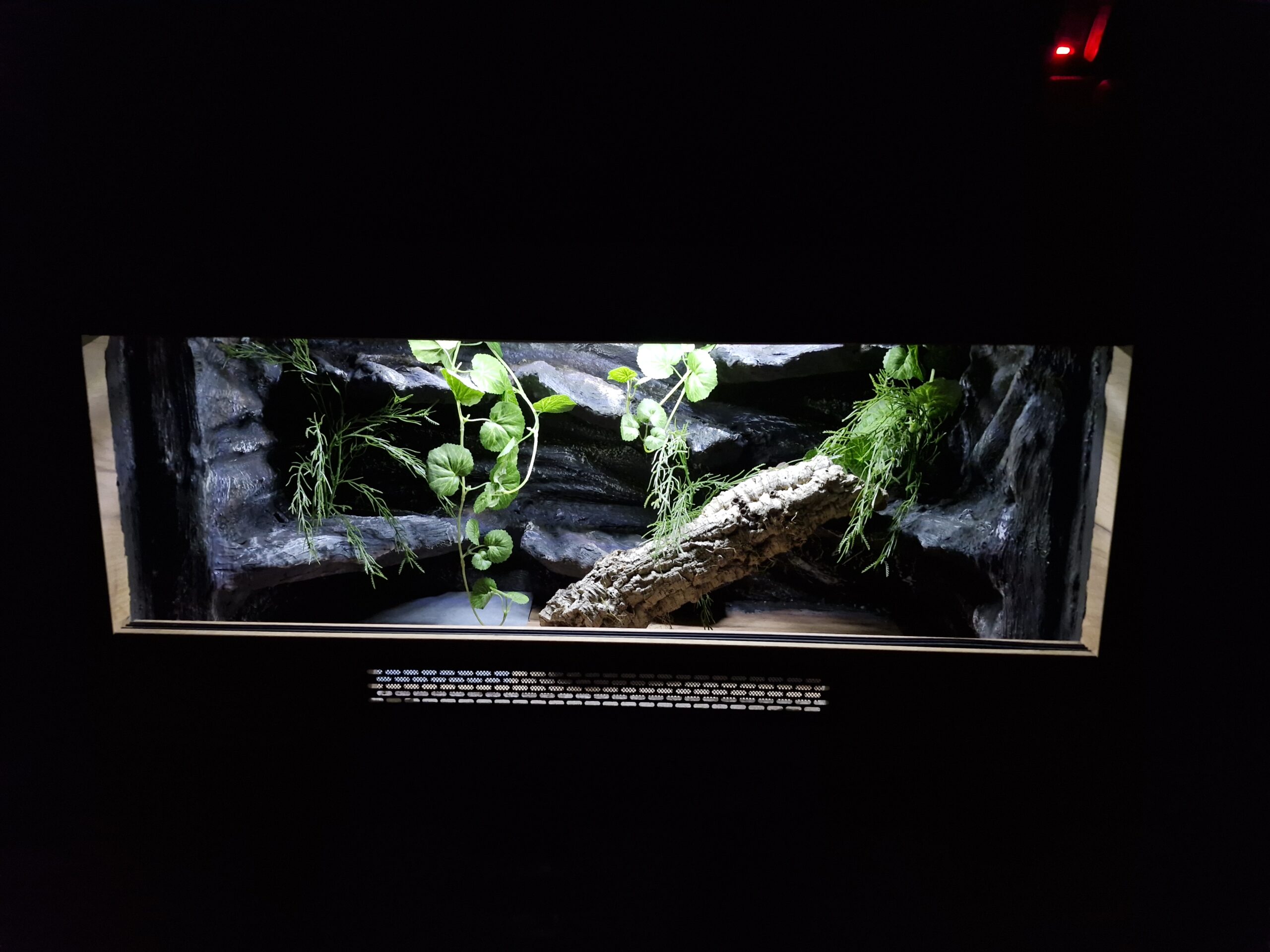 Terrarium 100x50x50 Agama/Wąż Mata Grzewcza LED Płyta Meblowa - Image 5