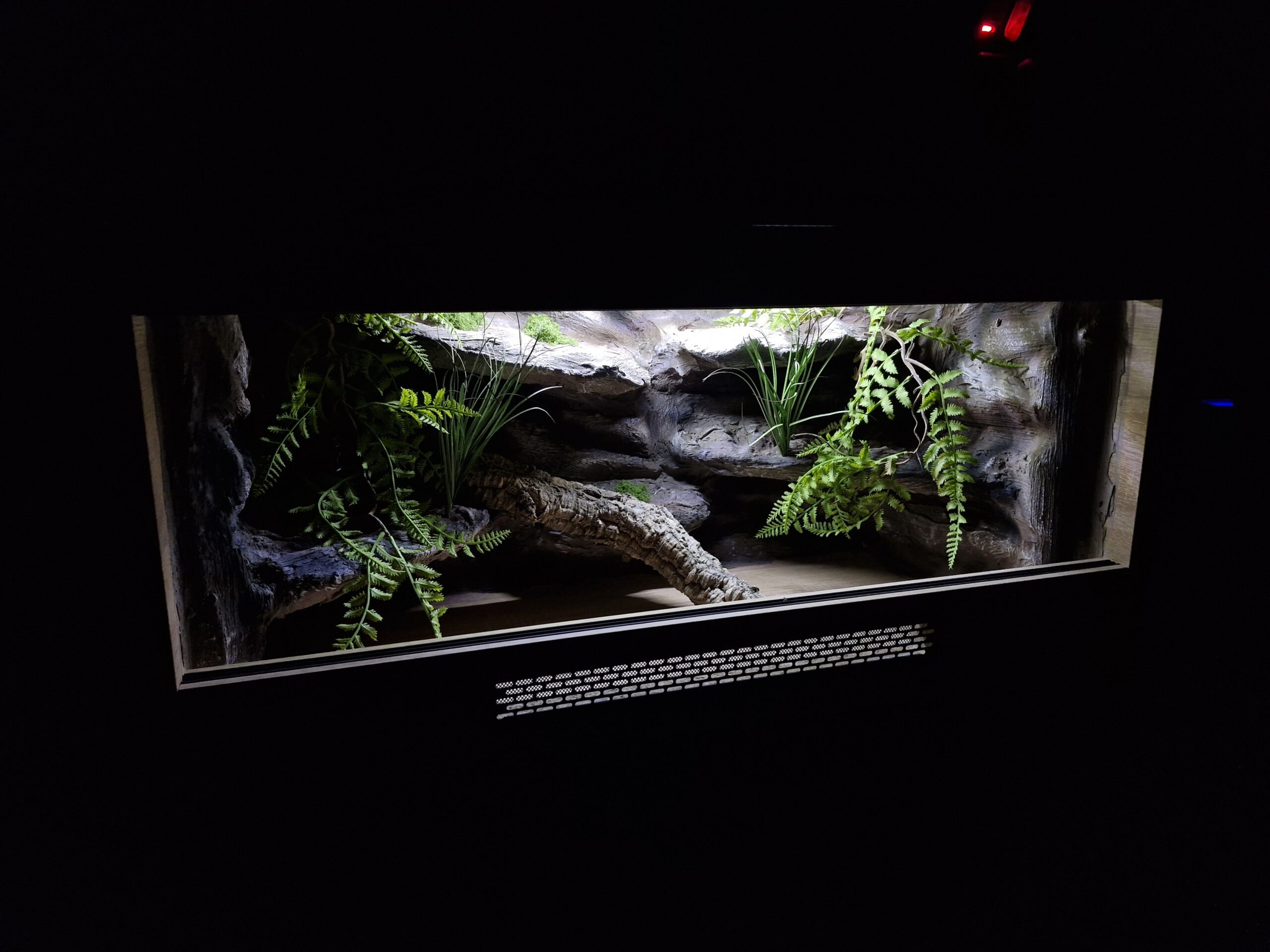 Terrarium 100x50x50 Płyta Meblowa Oprawa E27 Led - Image 5