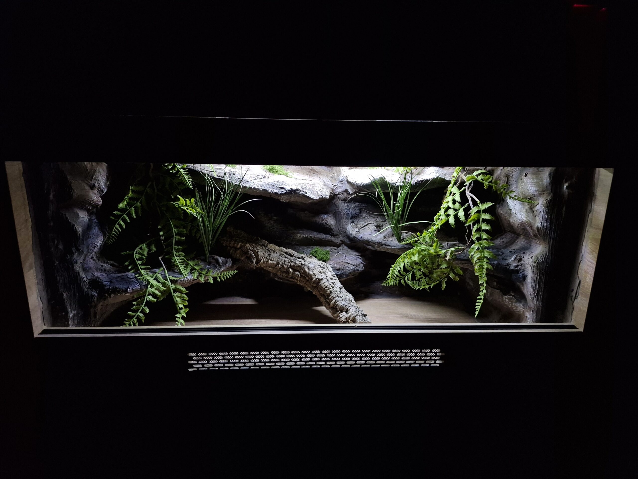 Terrarium 100x50x50 Płyta Meblowa Oprawa E27 Led - Image 6
