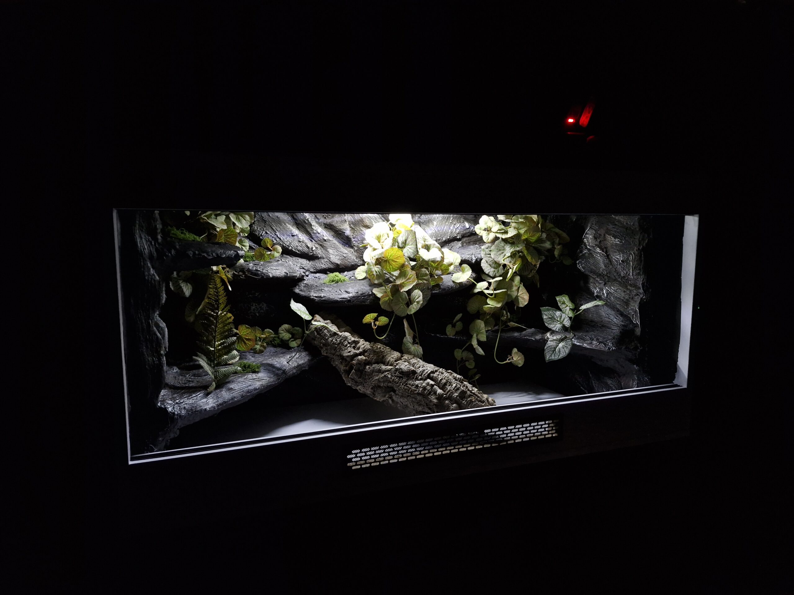Terrarium 120x60x60 Agama Brodata T5 Biała Płyta Meblowa Led - Image 5