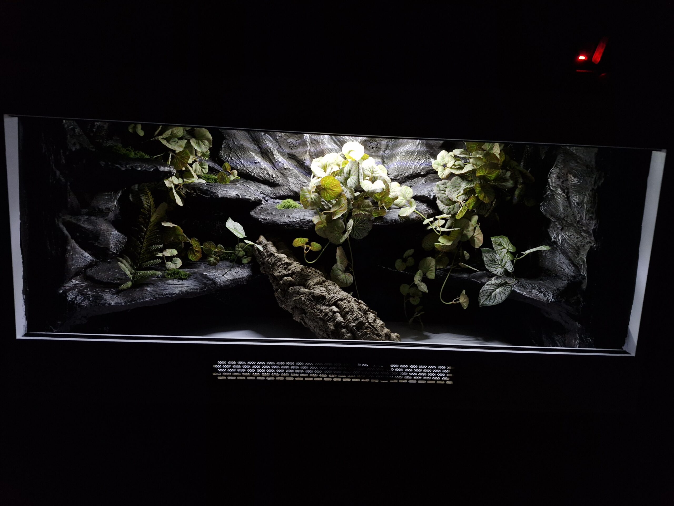 Terrarium 120x60x60 Agama Brodata T5 Biała Płyta Meblowa Led - Image 6