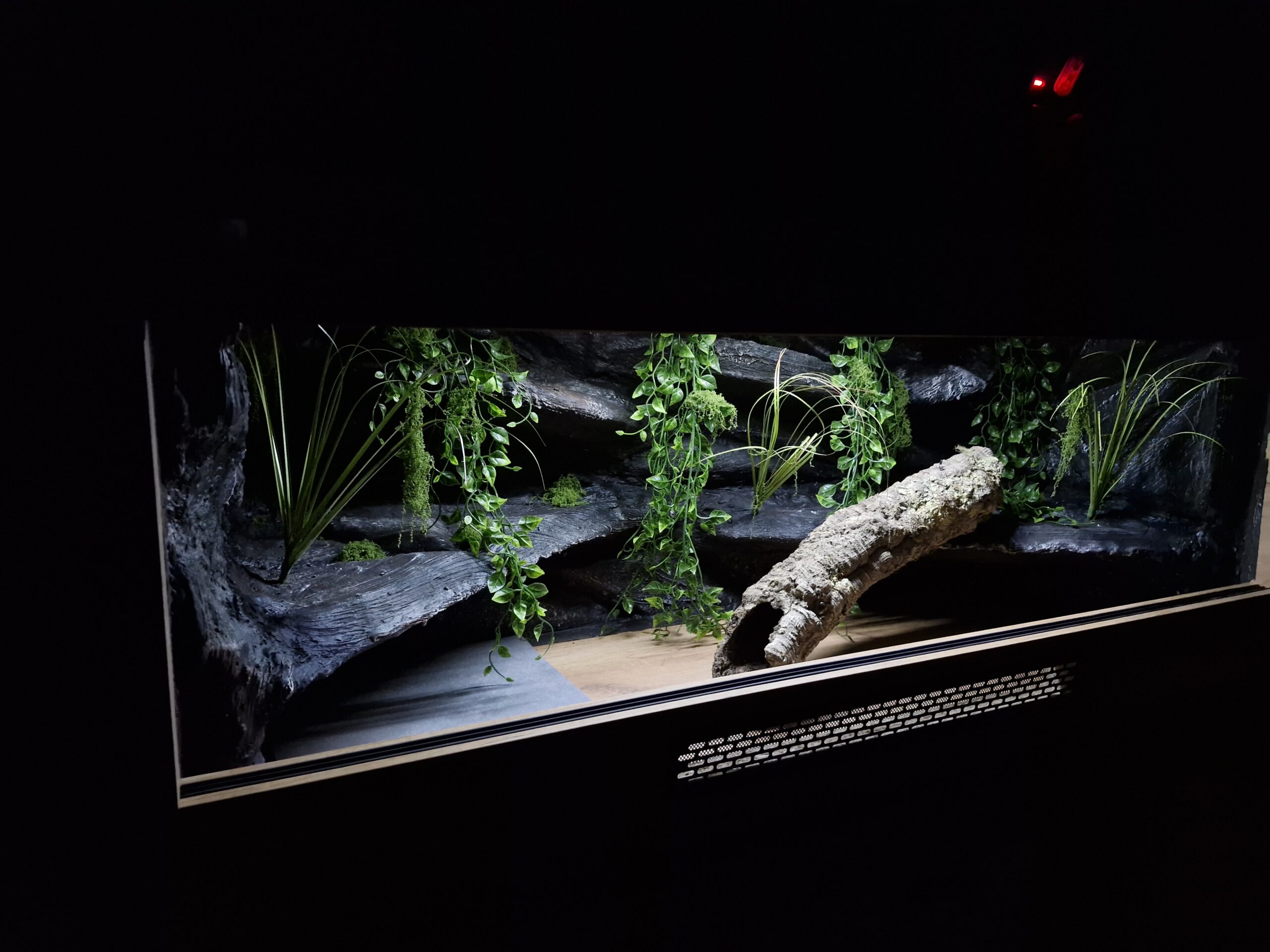 Terrarium 120x50x50 Dąb craft Mata Grzewcza Zestaw WĄŻ - Image 5