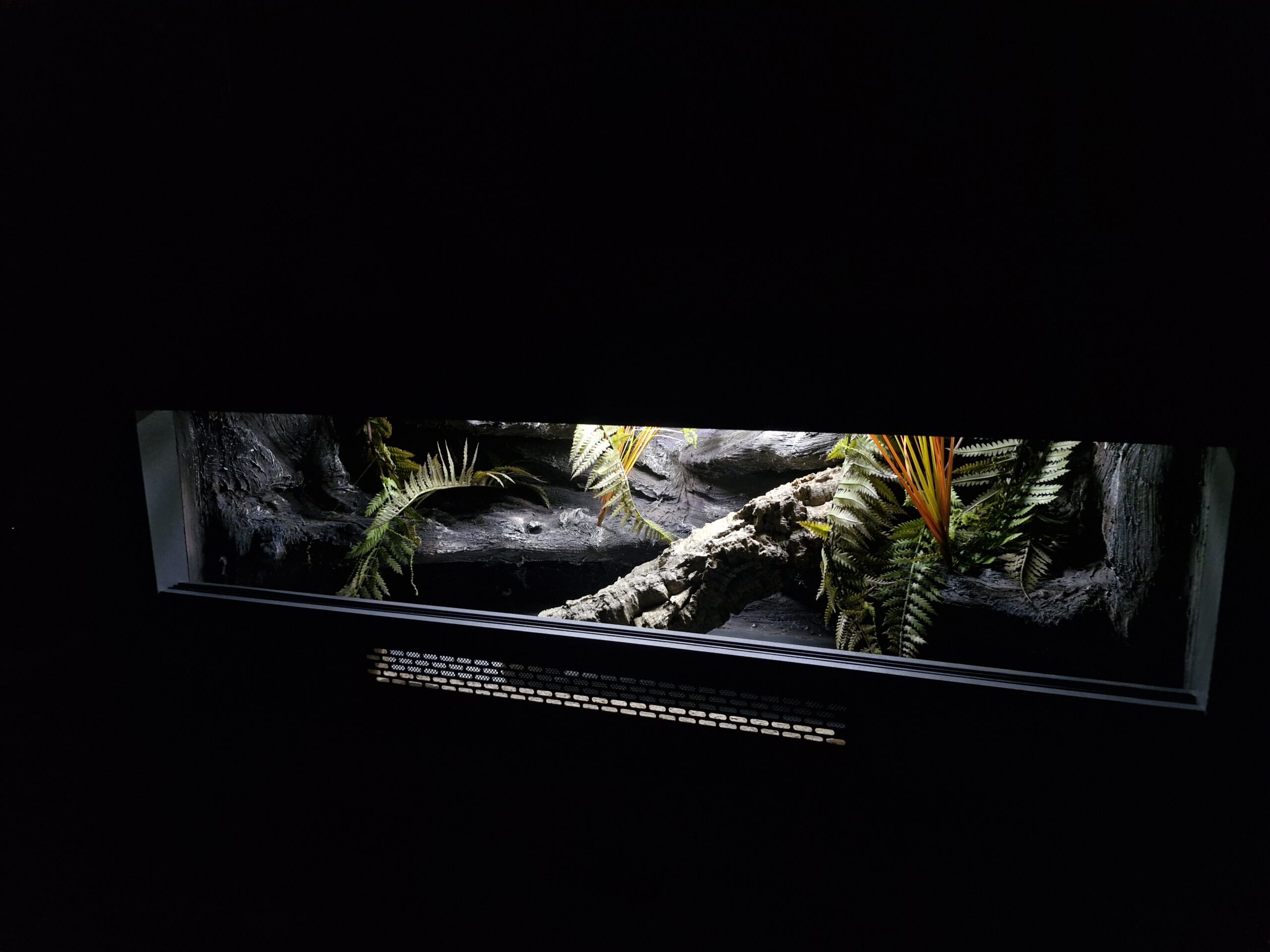 Terrarium 100x40x40 Mata Grzewcza Płyta Meblowa Gekon Wąż Agama - Image 5