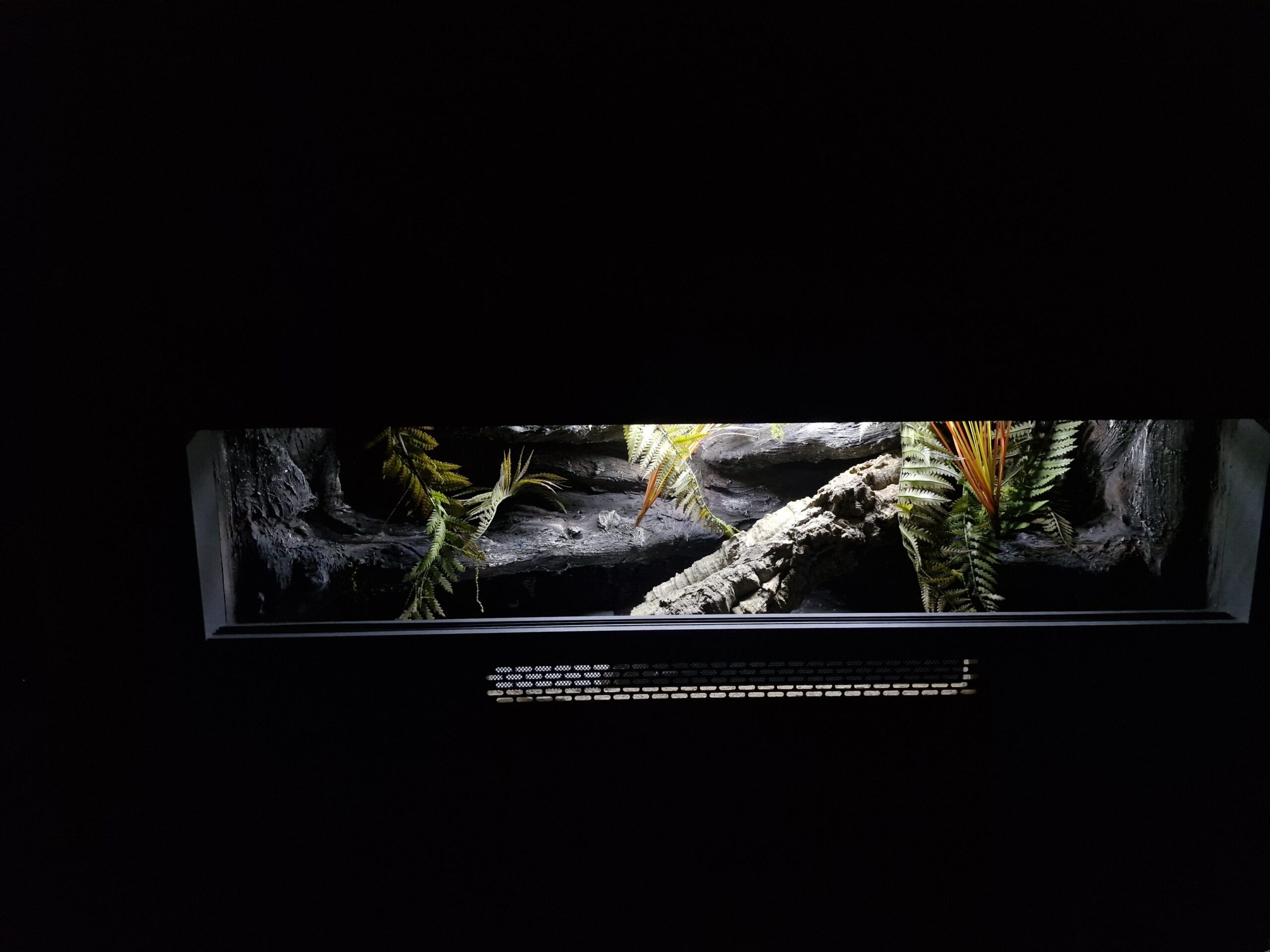 Terrarium 100x40x40 Mata Grzewcza Płyta Meblowa Gekon Wąż Agama - Image 6