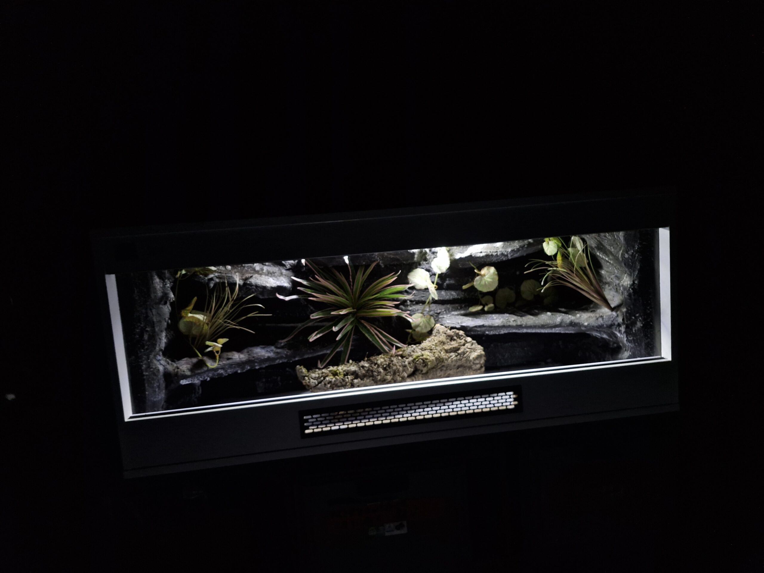 Terrarium 120x50x50 Płyta Meblowa Oprawy e27 Wąż/Gekon/Agama - obrazek 5