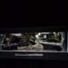 Terrarium 120x50x50 Płyta Meblowa Oprawy e27 Wąż/Gekon/Agama - Image 6