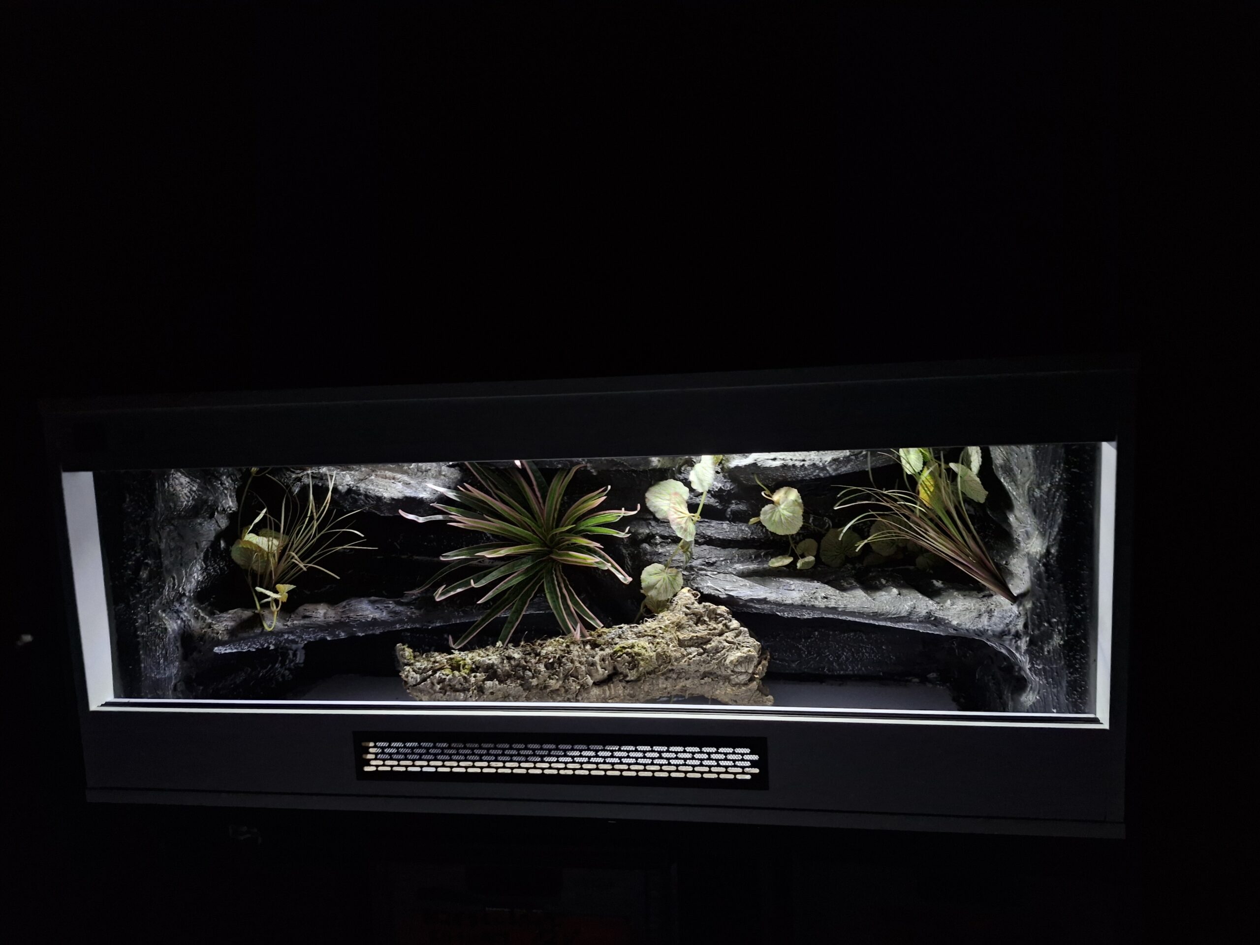 Terrarium 120x50x50 Płyta Meblowa Oprawy e27 Wąż/Gekon/Agama - obrazek 6