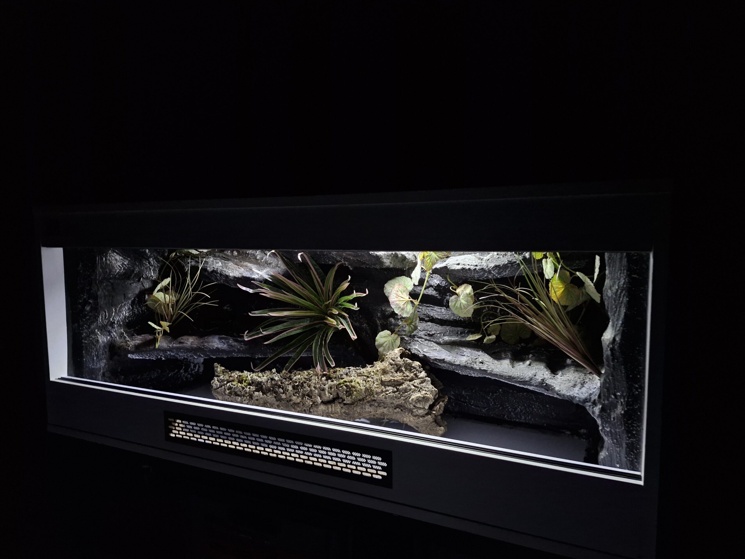 Terrarium 120x50x50 Płyta Meblowa Oprawy e27 Wąż/Gekon/Agama - obrazek 7