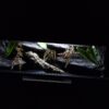 Terrarium 120x50x50 Płyta Meblowa Oprawy e27 Wąż/Gekon/Agama - Image 5