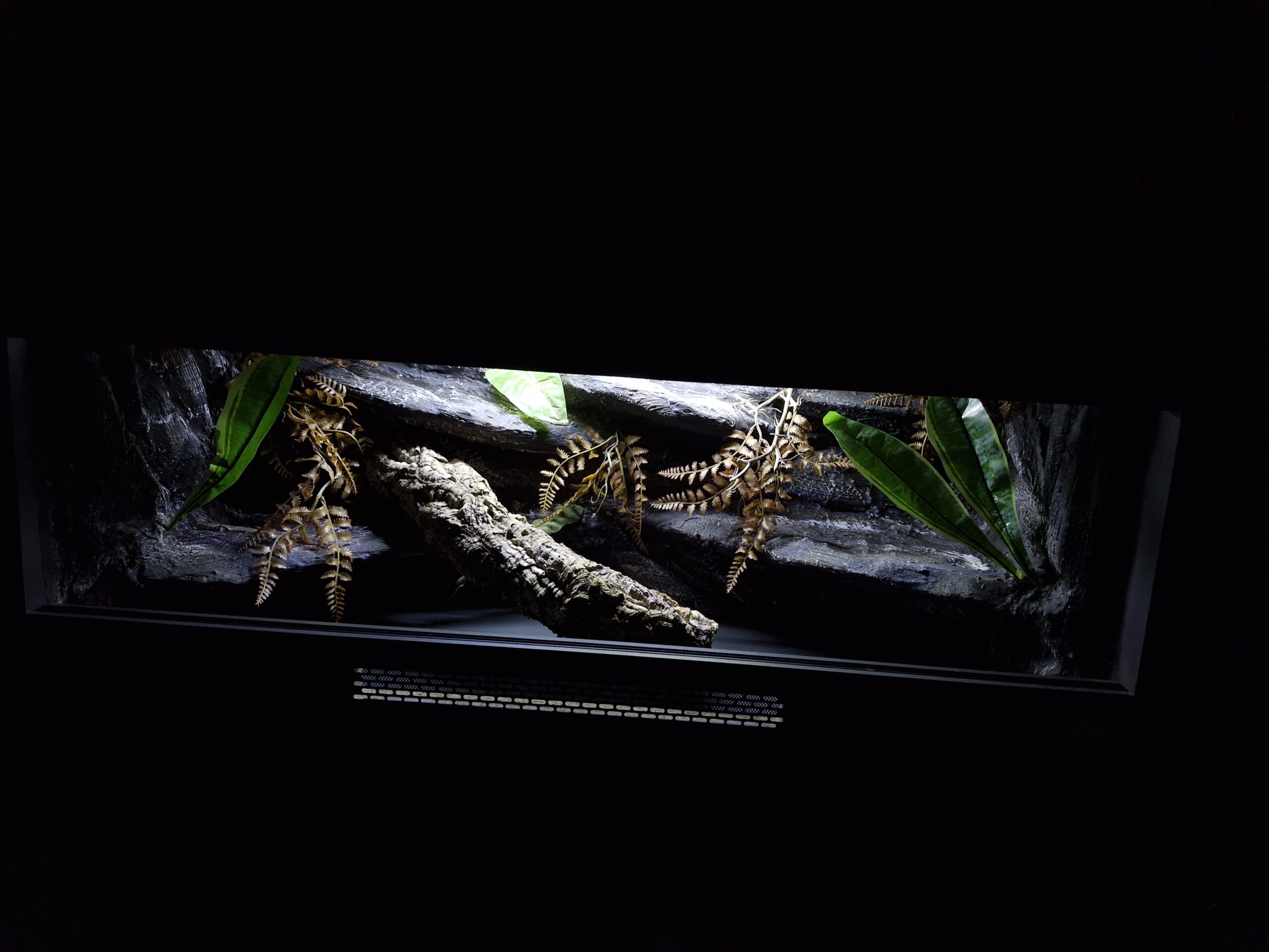 Terrarium 120x50x50 Płyta Meblowa Oprawy e27 Wąż/Gekon/Agama - obrazek 5