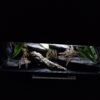 Terrarium 120x50x50 Płyta Meblowa Oprawy e27 Wąż/Gekon/Agama - Image 6