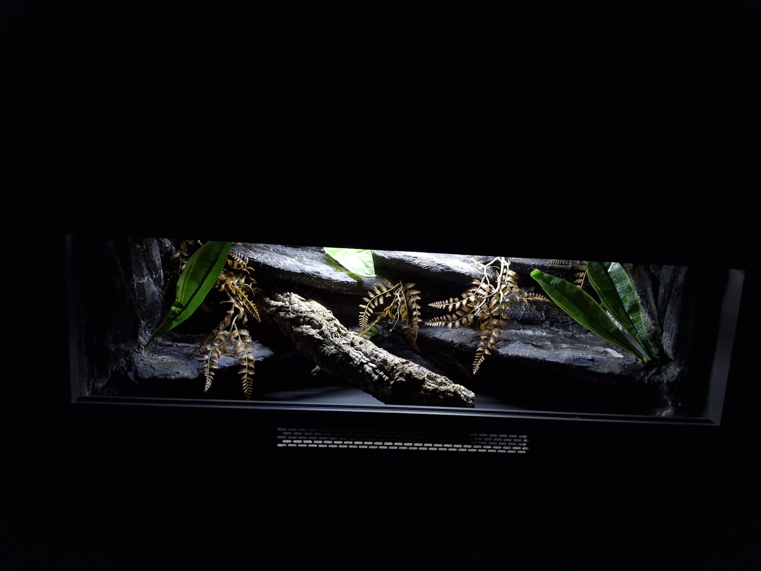 Terrarium 120x50x50 Płyta Meblowa Oprawy e27 Wąż/Gekon/Agama - obrazek 6