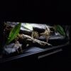 Terrarium 120x50x50 Płyta Meblowa Oprawy e27 Wąż/Gekon/Agama - Image 7