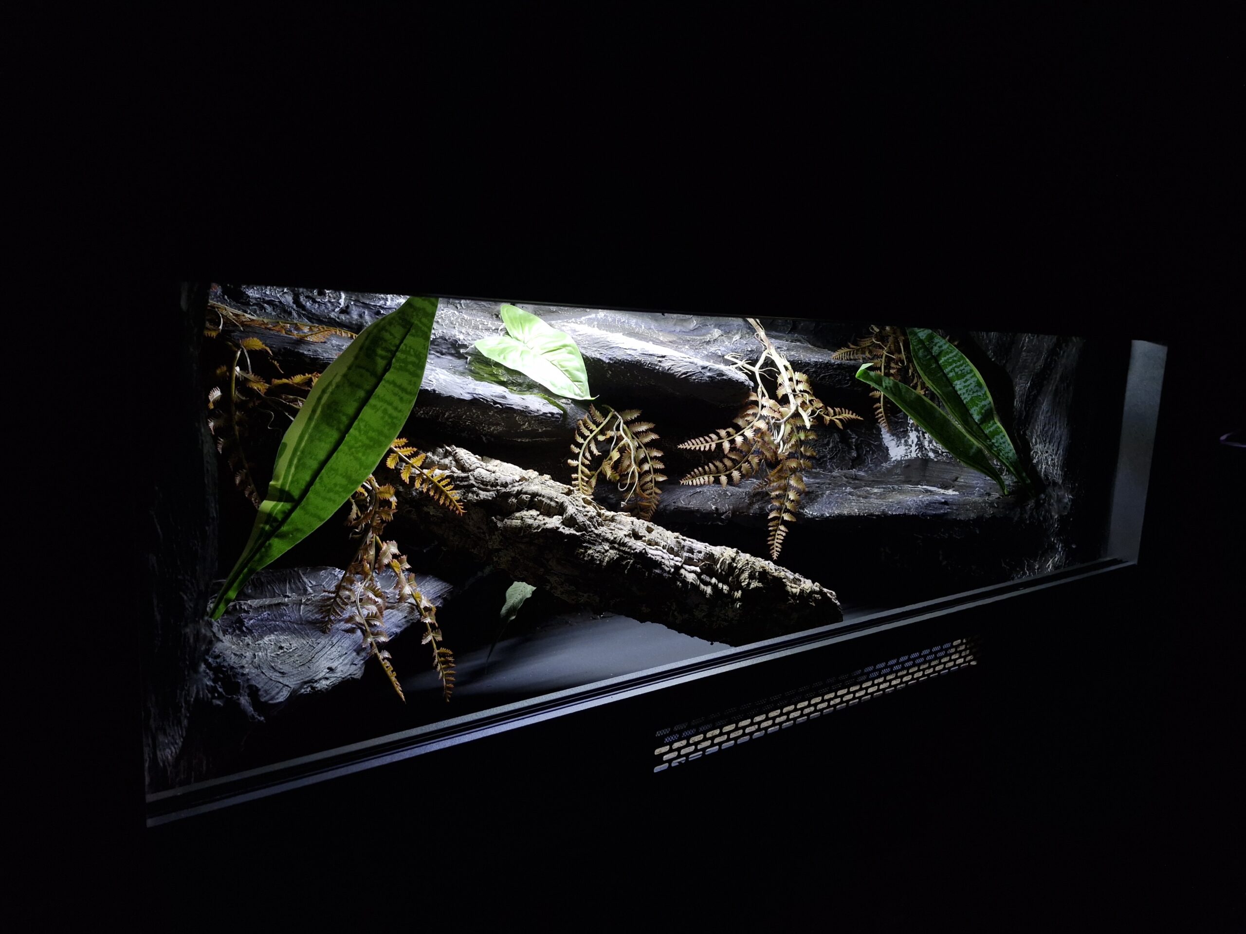 Terrarium 120x50x50 Płyta Meblowa Oprawy e27 Wąż/Gekon/Agama - obrazek 7