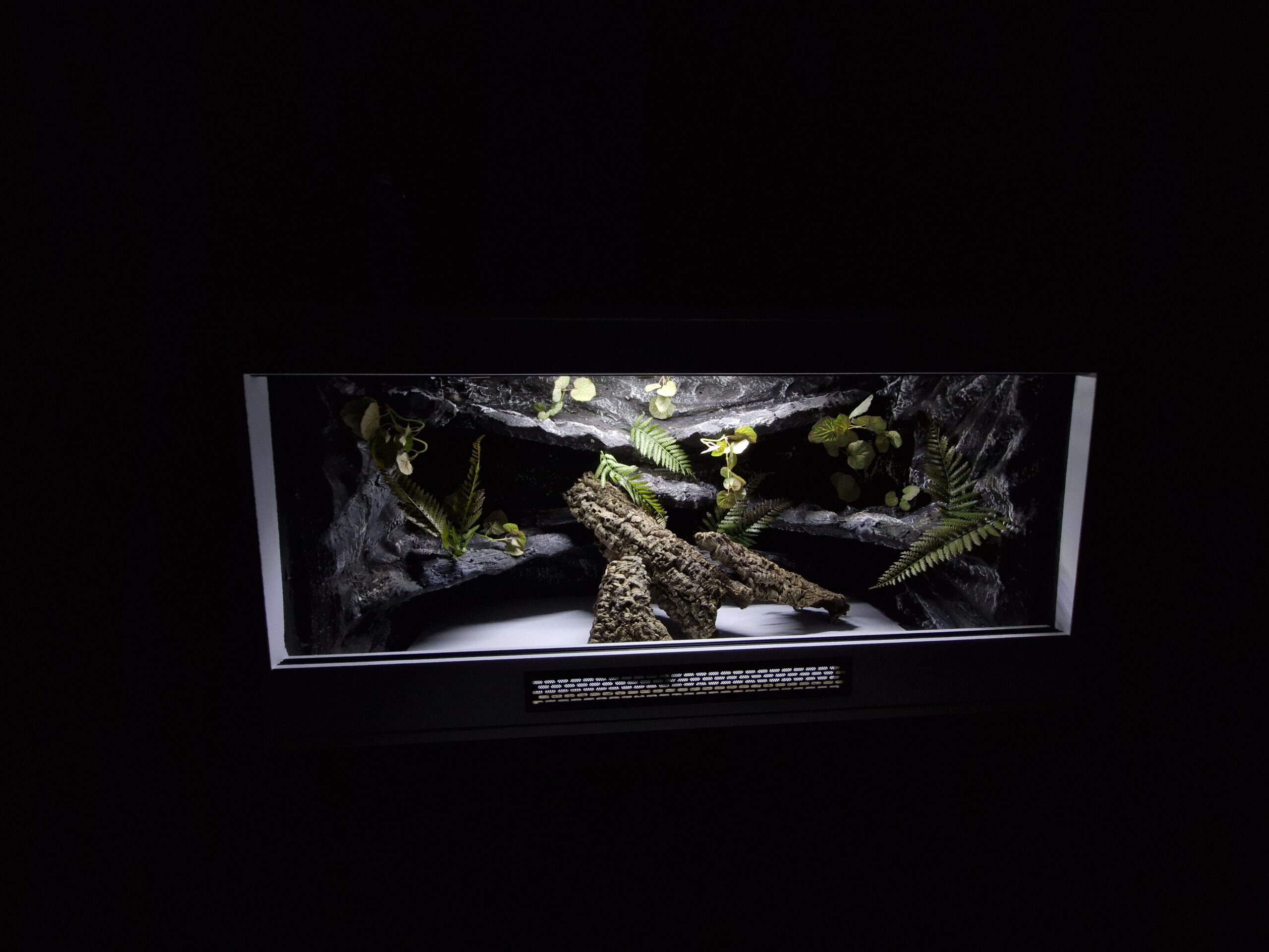 Terrarium 120x60x60 E27 Agama Brodata Płyta Meblowa Białe - Image 5