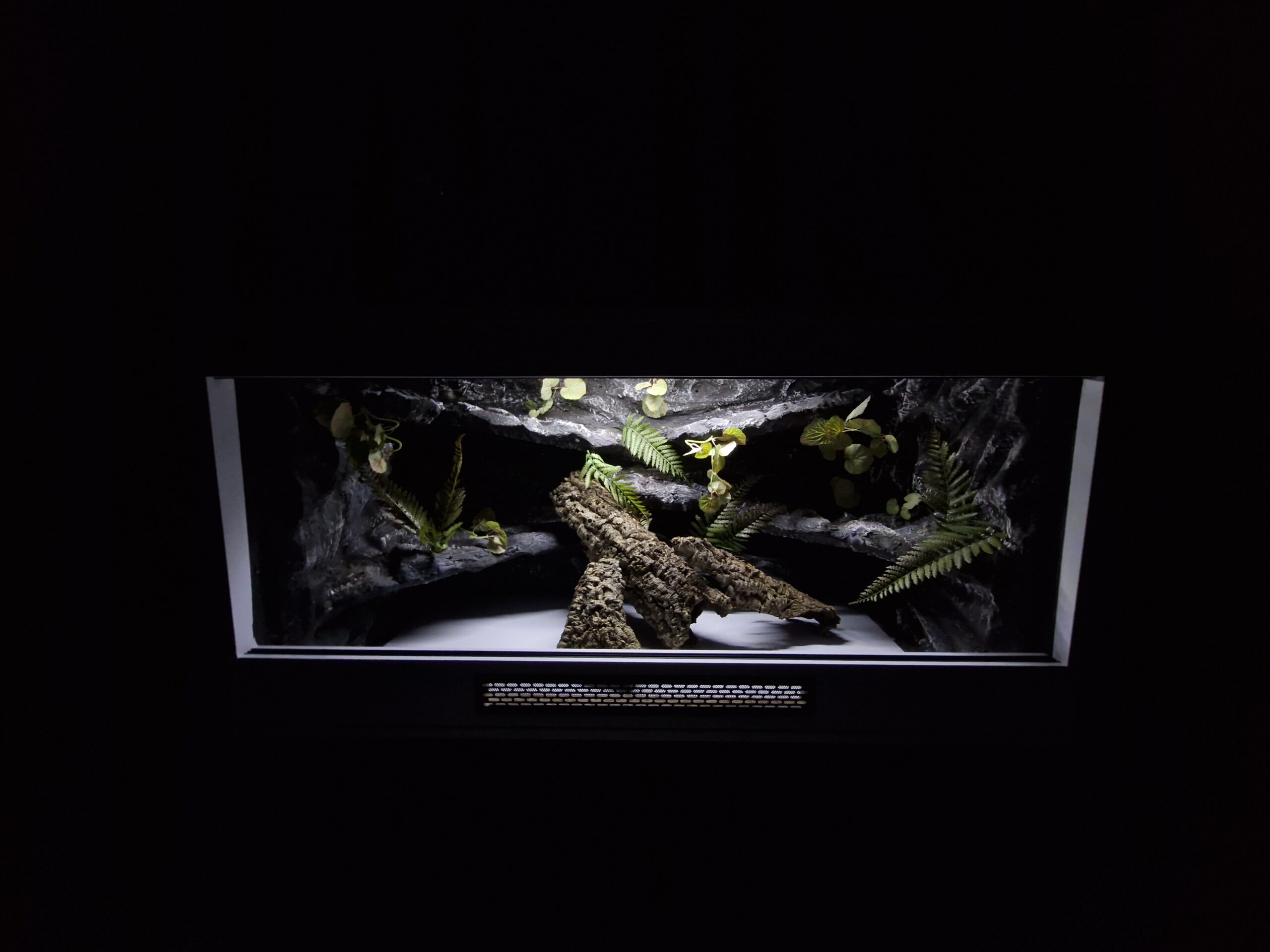 Terrarium 120x60x60 E27 Agama Brodata Płyta Meblowa Białe - Image 6