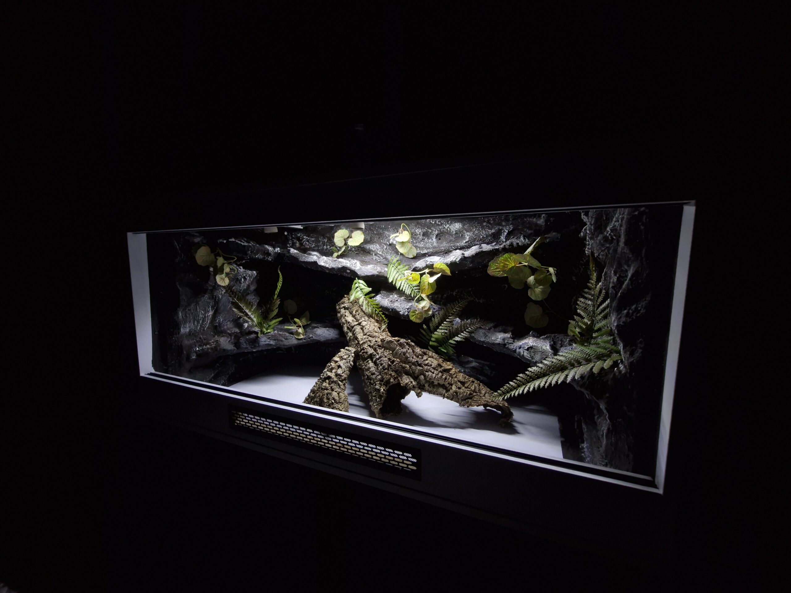 Terrarium 120x60x60 E27 Agama Brodata Płyta Meblowa Białe - Image 7