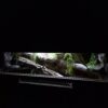 Terrarium 100x40x40 Mata Grzewcza Płyta Meblowa Gekon Wąż Agama - obrazek 6