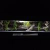 Terrarium 100x40x40 Mata Grzewcza Płyta Meblowa Gekon Wąż Agama - obrazek 7