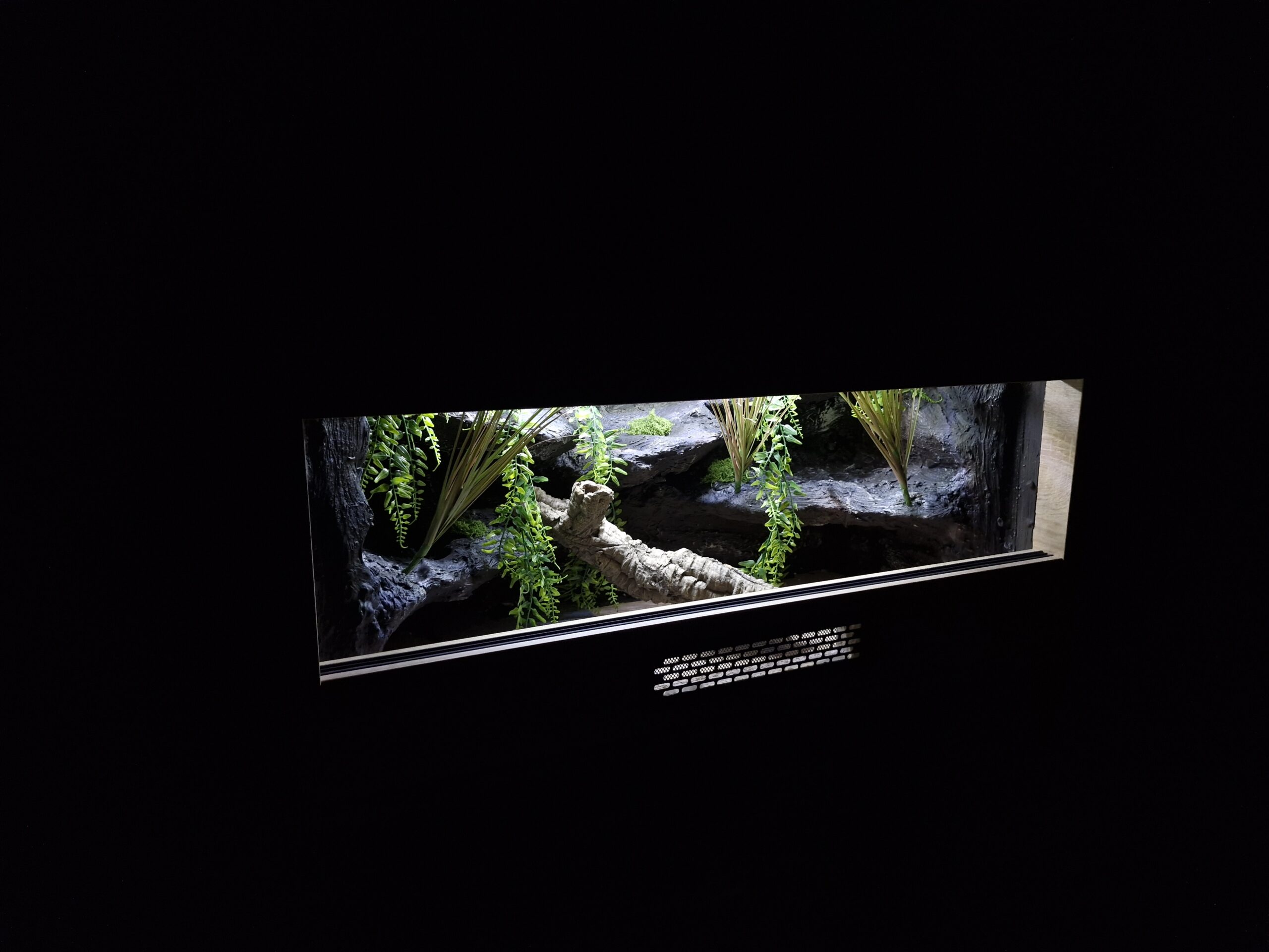 Terrarium 80x40x40 Mata Grzewcza/Led Płyta Meblowa Wystrój - obrazek 6
