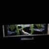 Terrarium 80x40x40 Mata Grzewcza/Led Płyta Meblowa Wystrój - obrazek 7