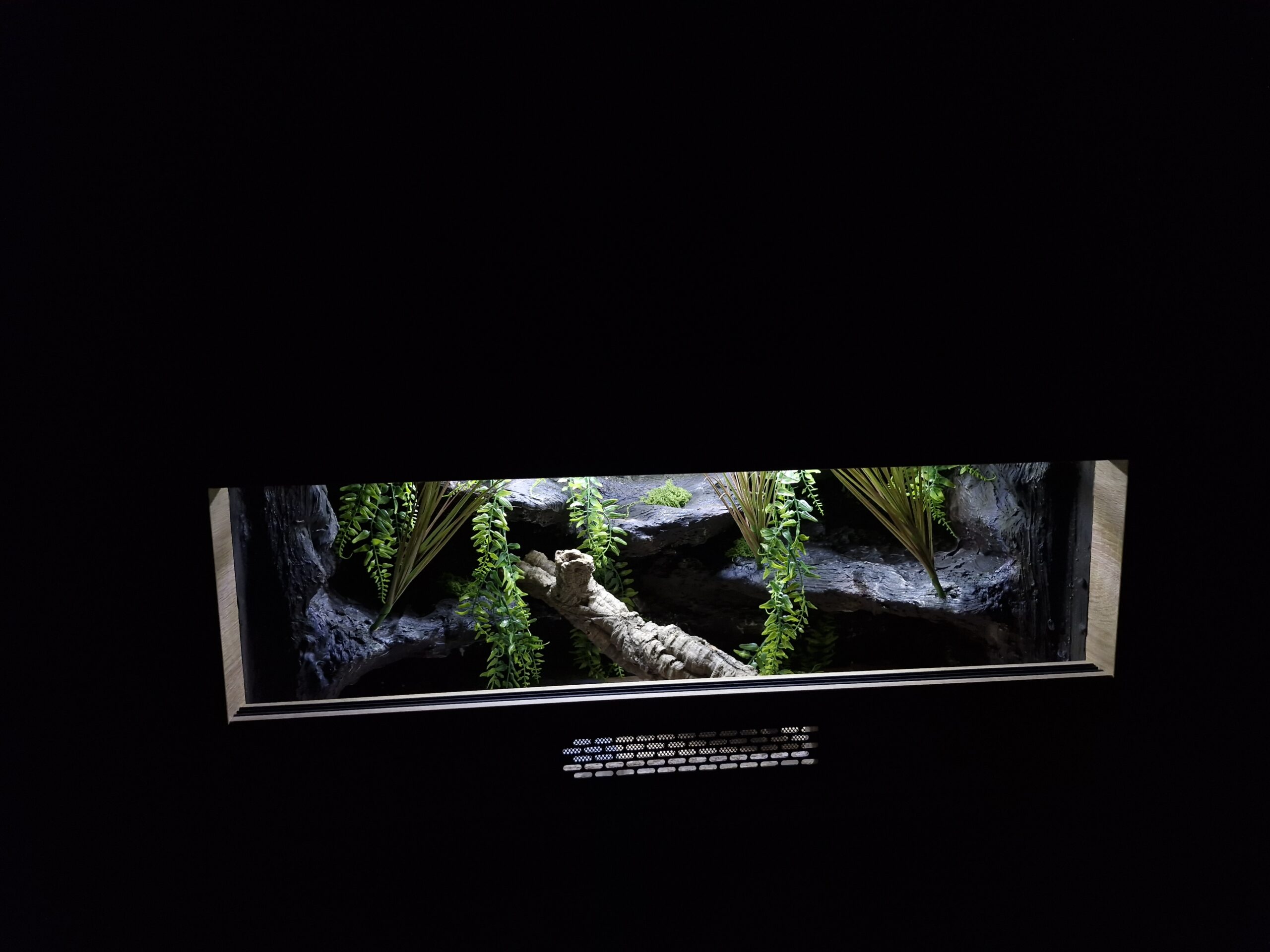 Terrarium 80x40x40 Mata Grzewcza/Led Płyta Meblowa Wystrój - obrazek 7