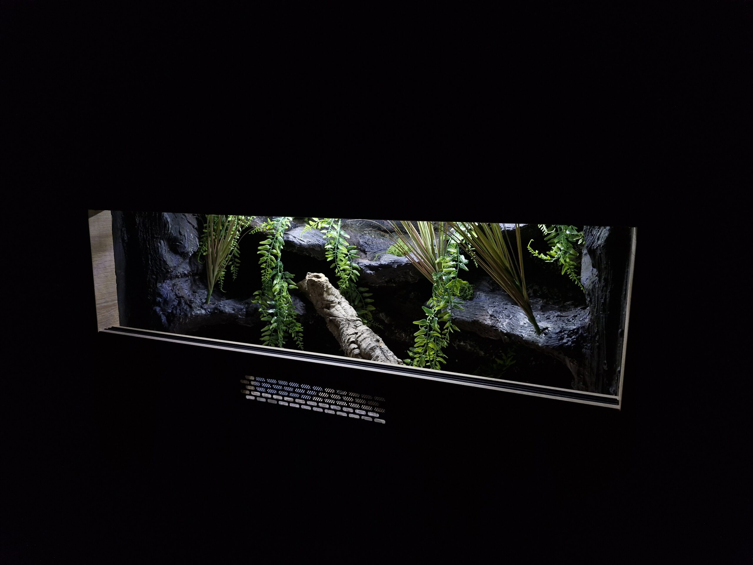 Terrarium 80x40x40 Mata Grzewcza/Led Płyta Meblowa Wystrój - obrazek 8