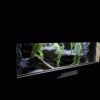 Terrarium 80x40x40 Mata Grzewcza/Led Płyta Meblowa Wystrój - Image 6