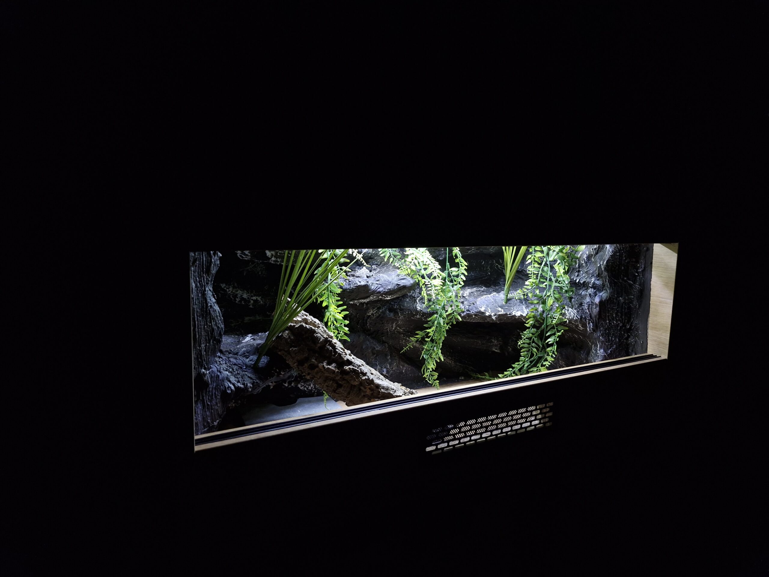 Terrarium 80x40x40 Mata Grzewcza/Led Płyta Meblowa Wystrój - obrazek 6