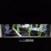 Terrarium 80x40x40 Mata Grzewcza/Led Płyta Meblowa Wystrój - Image 7