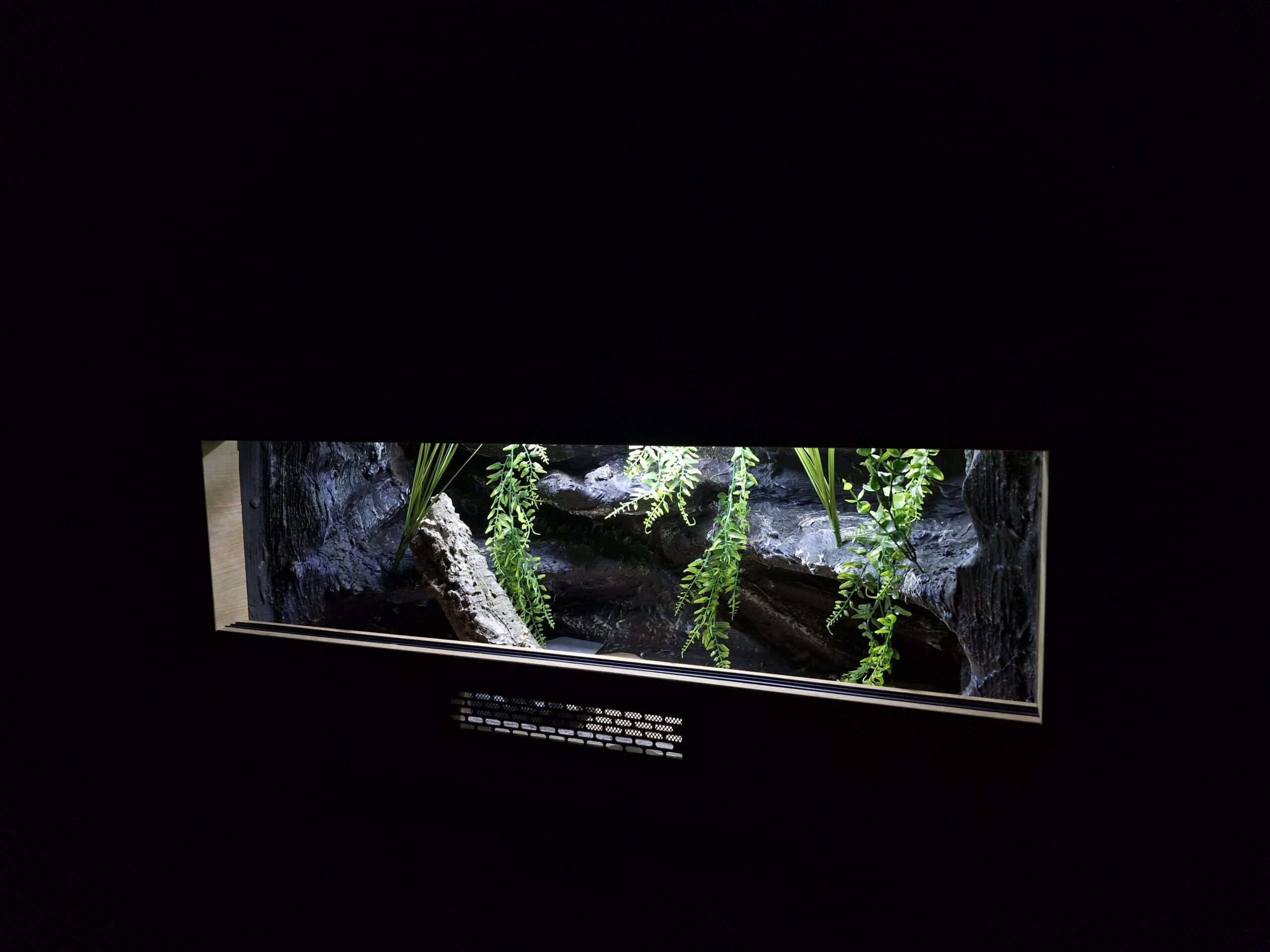 Terrarium 80x40x40 Mata Grzewcza/Led Płyta Meblowa Wystrój - obrazek 8