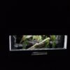 Terrarium 80x40x40 Mata Grzewcza/Led Płyta Meblowa Wystrój - obrazek 7