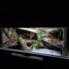 Terrarium 100x50x50 Agama/Wąż Mata Grzewcza LED Płyta Meblowa - obrazek 5