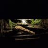 Terrarium 100x50x50 Płyta Meblowa Oprawa E27 Led - obrazek 6