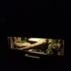 Terrarium 80x40x40 Mata Grzewcza/Led Płyta Meblowa Wystrój - obrazek 7