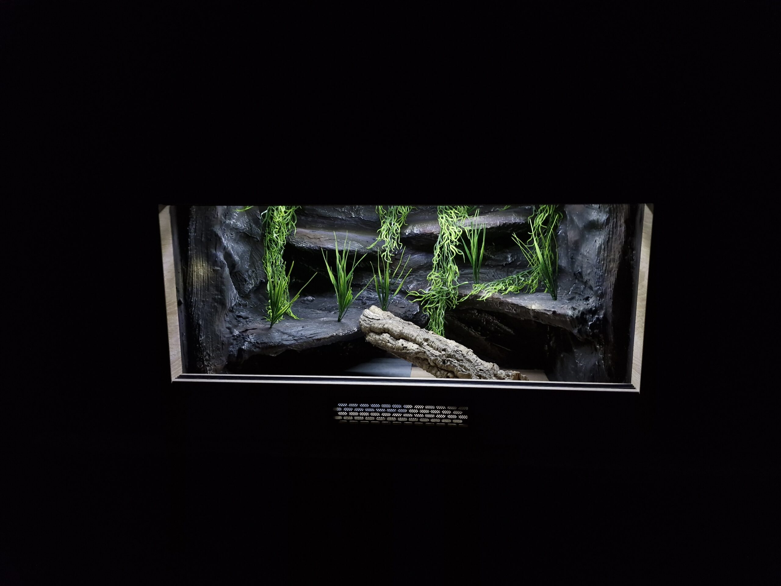 Terrarium 80x50x50 Płyta meblowa i mata grzewcza dąb sonoma - obrazek 6