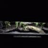 Terrarium 100x40x40 Mata grzewcza Gekon Wąż Jaszczurka Outley - obrazek 6