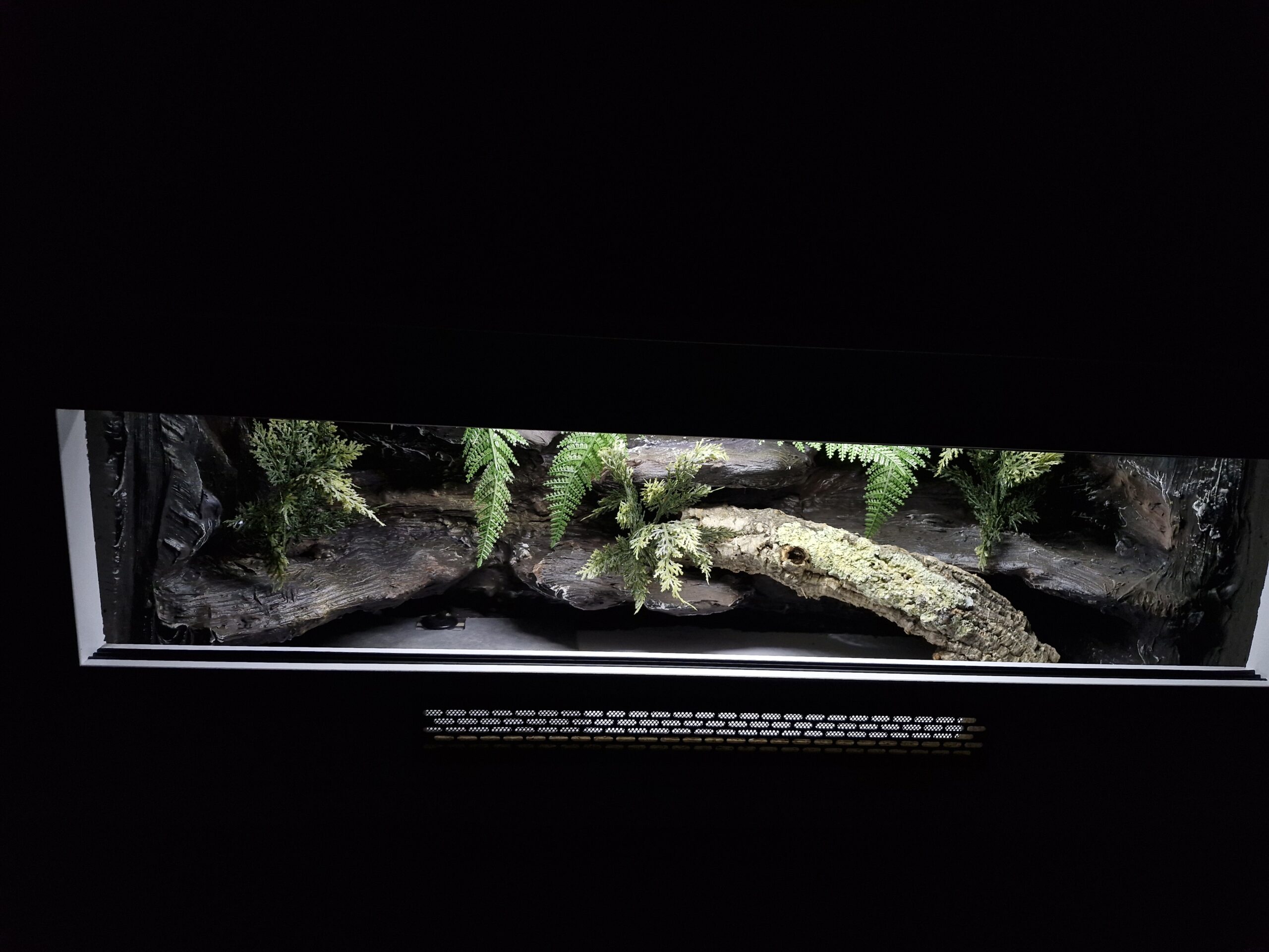 Terrarium 100x40x40 Mata grzewcza Gekon Wąż Jaszczurka Outley - obrazek 6