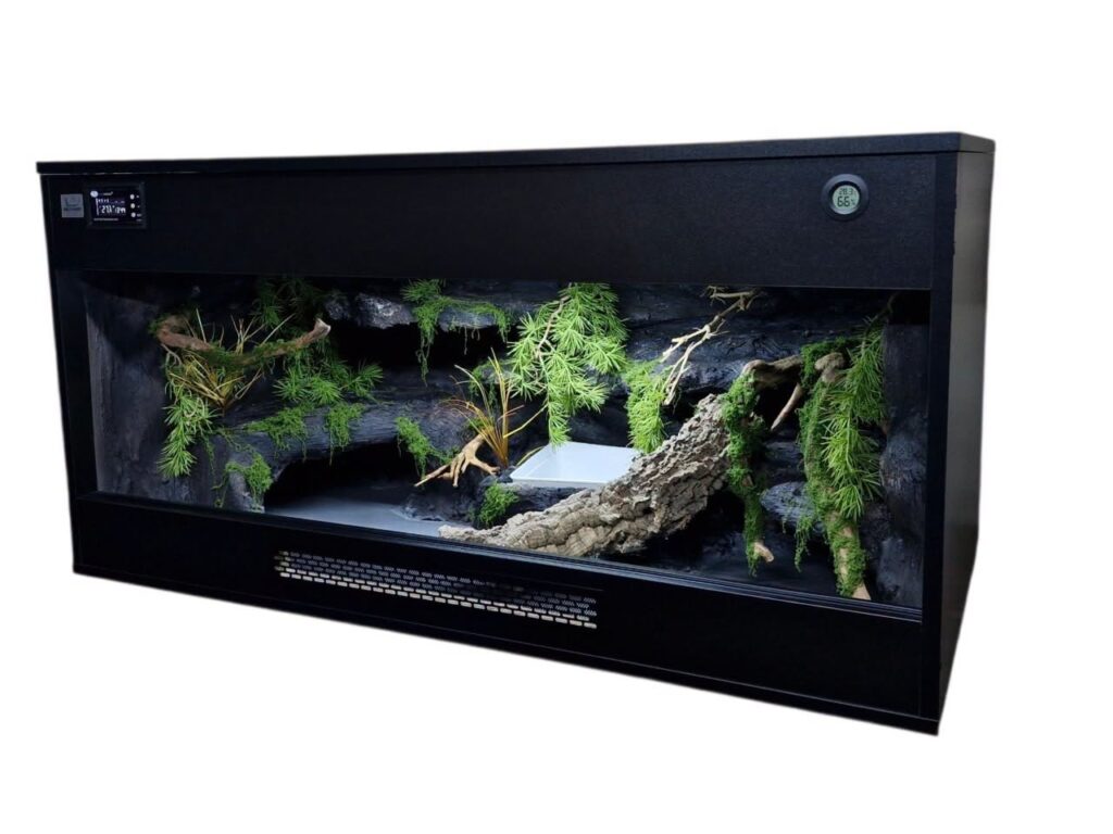Czarne terrarium z tłem strukturalnym i listwą wentylacyjną