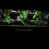 Terrarium 80x40x40 Mata Grzewcza/Led Płyta Meblowa Wystrój Czaszka - obrazek 3