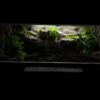 Terrarium 100x50x50 Płyta Meblowa Dąb Craft Oprawa E27 Led - Image 2