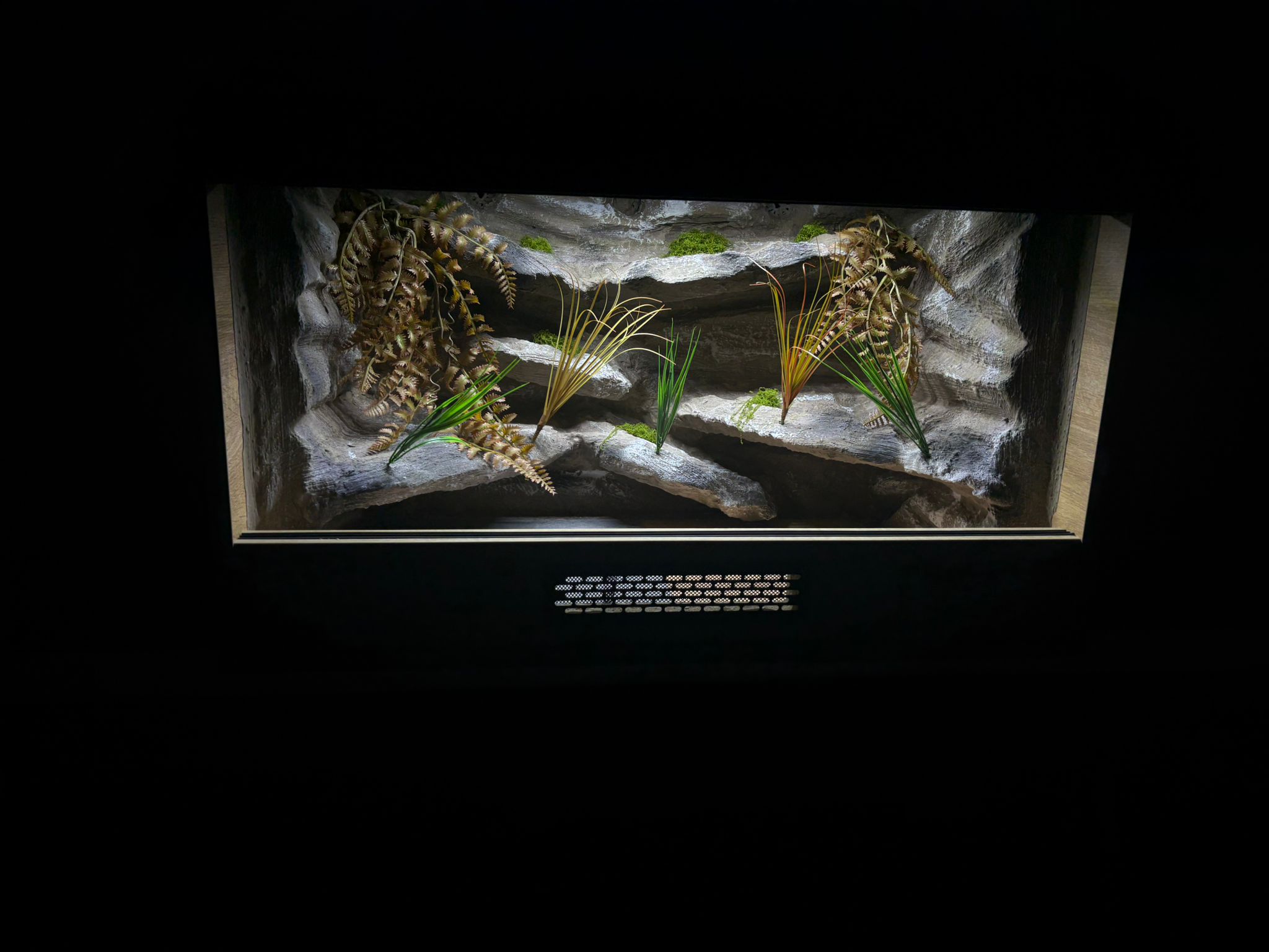 Terrarium 80x50x50 Płyta Meblowa Mata Grzewcza - obrazek 2