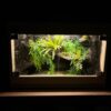 Terrarium 60X40X40 LED / grzanie / wystrój / II gatunek OUTLET - obrazek 2