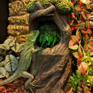 Wodospad do terrarium Repti-Zoo Tree Waterfall z pompą