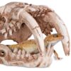 Terrario Sabertooth Skull - czaszka tygrysa do terrarium 13x8,5x11 cm - obrazek 2