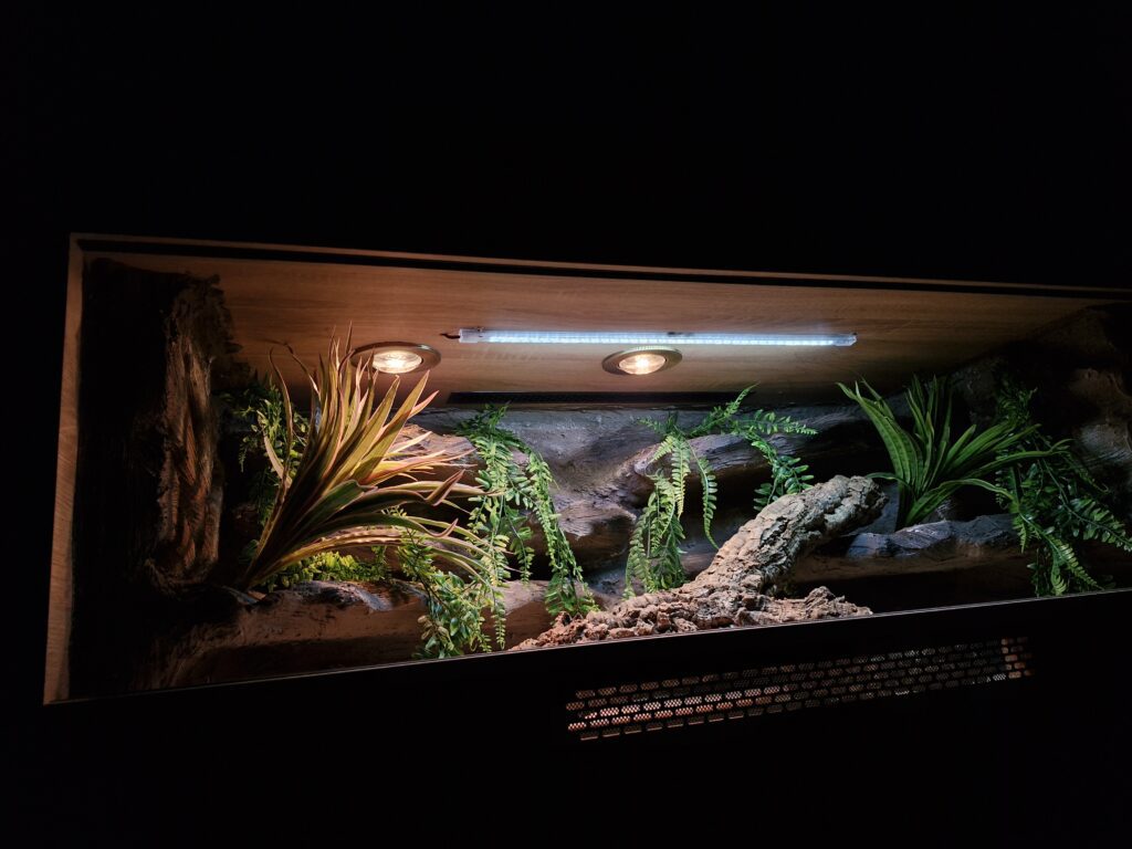 Podłoże do terrarium