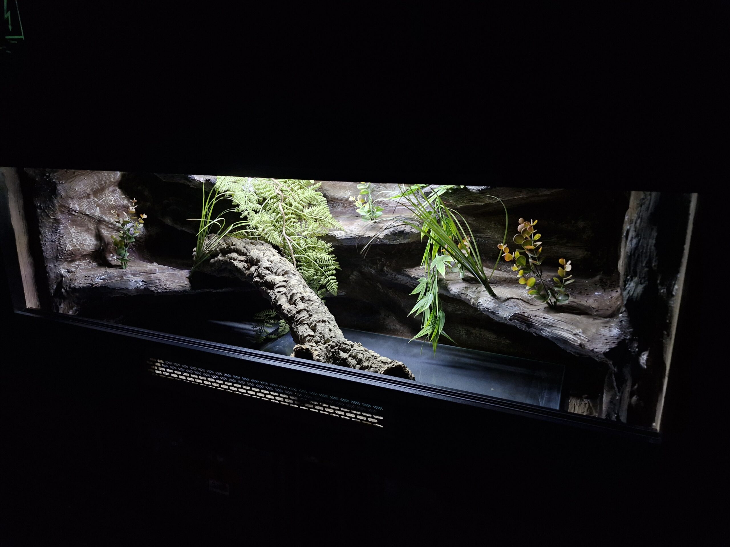 Terrarium 120x50x50 Czarne Mata Grzewcza Zestaw WĄŻ PERSONALIZACJA - obrazek 4