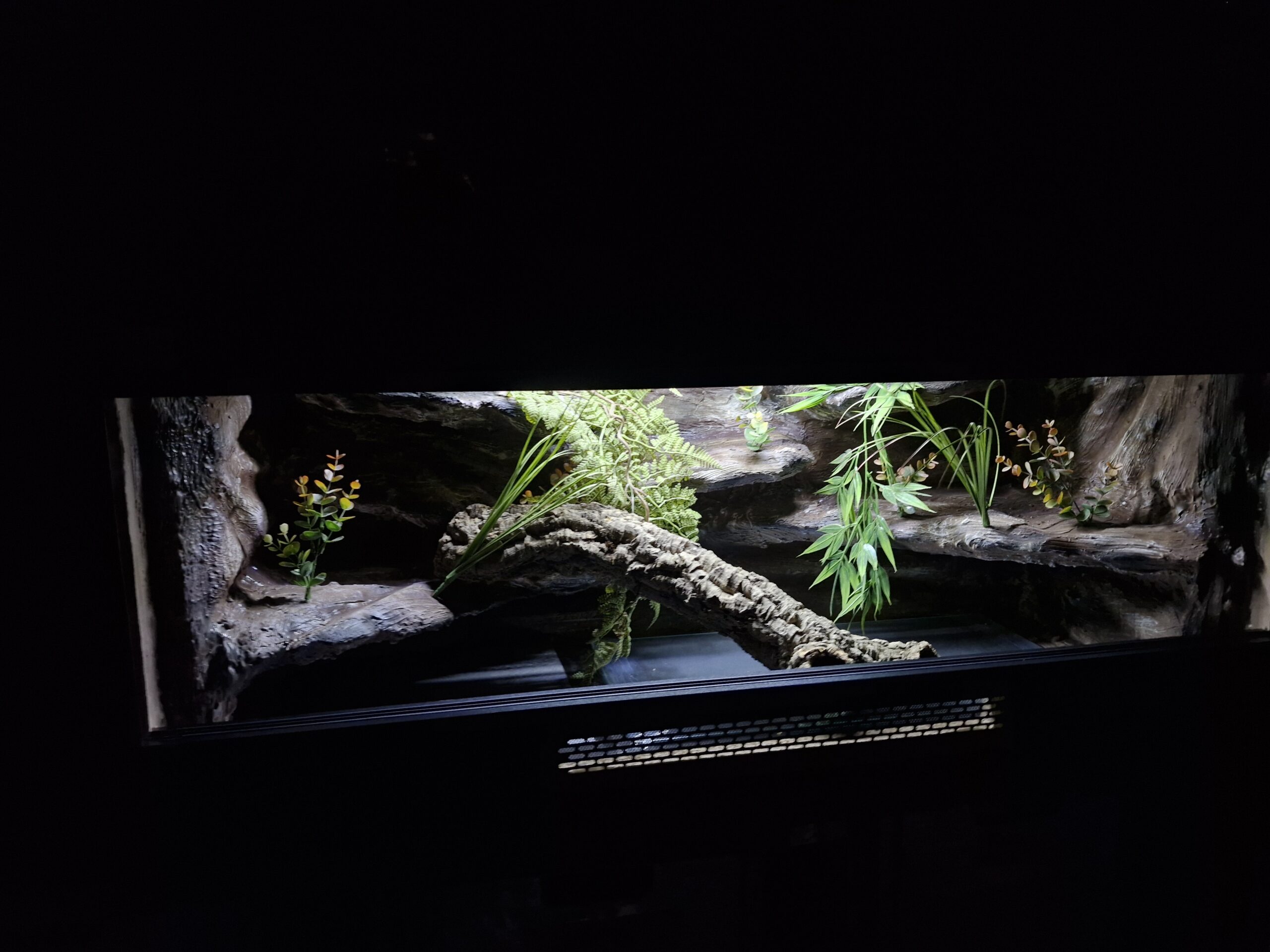 Terrarium 120x50x50 Czarne Mata Grzewcza Zestaw WĄŻ PERSONALIZACJA - obrazek 5